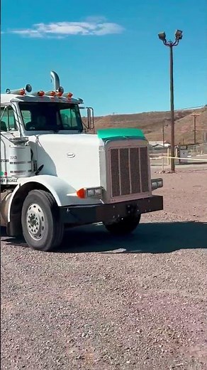 1995 PETERBILT 379 For Sale