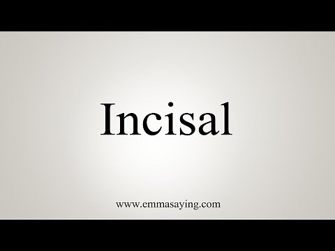 How To Say Incisal