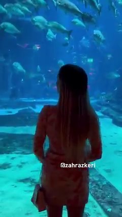 Аквариум The Lost Chamber перенесет вас в глубины моря. Такой красотой можно любоваться часами! 💙 Atlantis, The Palm #Атлантис #LostChambers #ПальмаДжумейра #АквариумДубай #ПосетитеДубай #ЛетоВДубае #Дубай #ОтдыхВДубае | Visit Dubai - Посетите Дубай