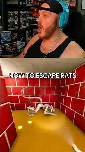 This game plays with my emotions too much 🐀 Labyrinthine Co-Op Horror Maze Game Gameplay
