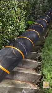 35K views · 1.4K reactions | jump jump jump~ | Animal Life | Facebook