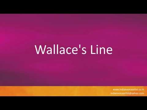 How to pronounce "Wallace's Line".