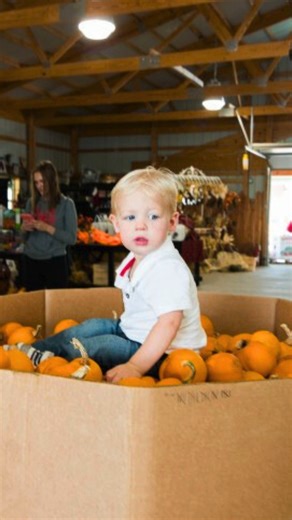 1.4K views · 20 reactions | Get ready for a full day of fall fun at...