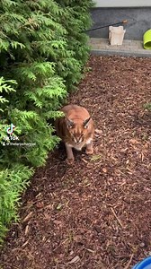 21K views · 160 reactions | #dungeonsanddragons5e #dnd5e #ttrpg #dnd #dungeonsanddragons #dndtiktok #reaction | The LARP Channel | Facebook