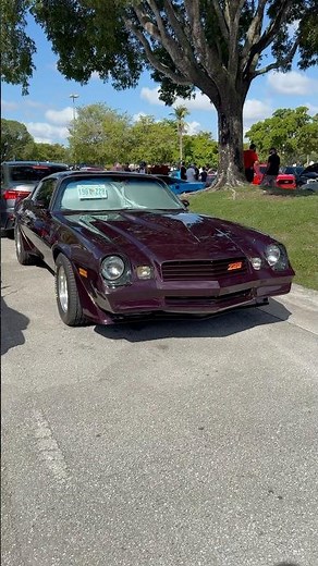 Z28 Chevy Camaro 1981 Second Gen