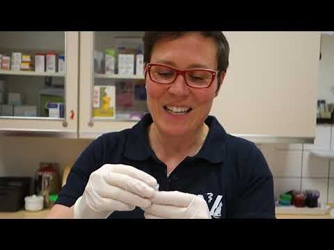 Neubauer-Zählkammer und Leuko-TIC