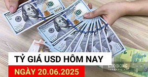 USD exchange rate today 20.6: Central exchange rate increases to record level