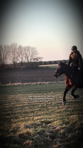 Exciting Horse Riding Moments and Fails