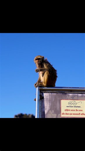 1 Night & 1 Day Tracking 🌄 5000ft