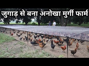 ऐसा अनोखा देशी मुर्गी फार्म आपने देखा नहीं होगा | Desi Poultry Farming in Tunnel