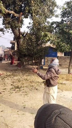 Tree Uprooting Techniques in Outdoor Settings