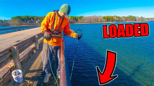 Hidden Treasures Under the Bridge! Magnet Fishing at a Crowded Spot