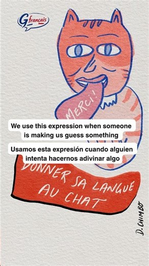 Part 3 | Expressions in French with " cat" 🐱| Donner sa langue au chat 🐱 #expression