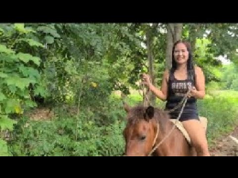 How a Woman Butchers a Horse or a Female Slaughtering and what the Process in there or teach.