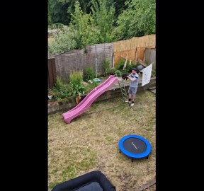 Dog Loves Playset Slide