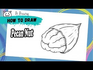 How to Draw Pecan Nut Easy Drawing