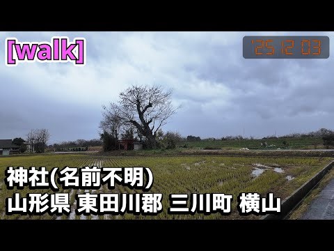 【神社(名前不明)】神社(名前不明)/山形県東田川郡三川町横山畑田【庄内を散歩300】