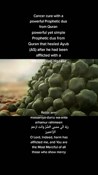 Exploring Beautiful Biological Structures in Detail