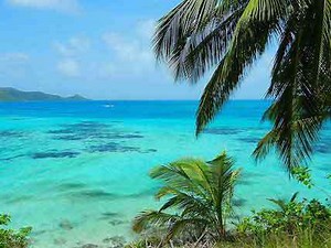 Seasteading in Paradise