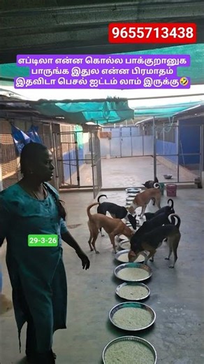என்னலா பண்றானுக #short #shortsfeed #shortvideo #shorts #short