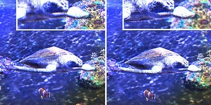 Thin Holographic Video Display For Mobile Phones