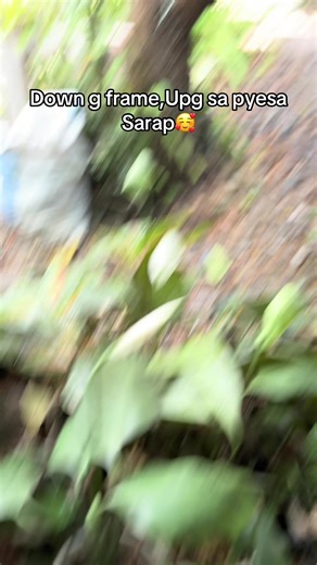 Mountain Bike Upgrades: Enjoying the Ride