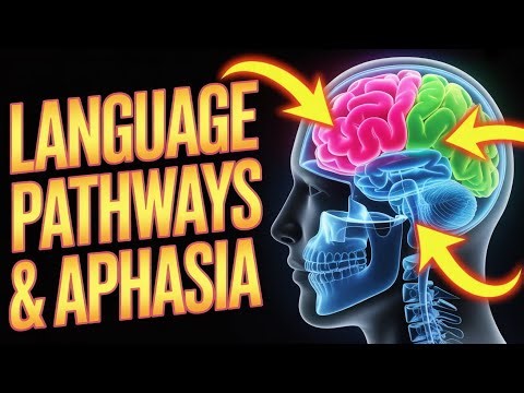 How I remember Aphasia | Aphasia Classification Simplified