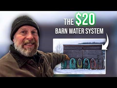 Why I Stopped Using Automatic Barn Waterers