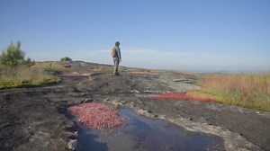 258K views · 391 reactions | Looking for a fun and affordable summer destination? Look no further than Atlanta! WalletHub just voted Atlanta as the #1 Summer Destination in the US, and we've got 20 free things you can do in metro Atlanta! | Explore Georgia | Facebook