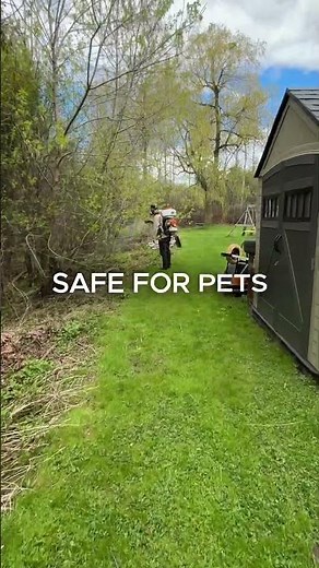 How to stop mosquitoes