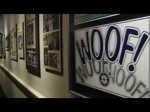 Taking a Tour of Safeco Field in Seattle Home of the Mariners
