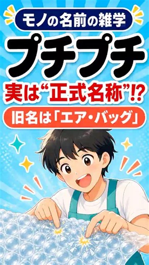 プチプチの正式名称が、意外すぎた!? #shorts