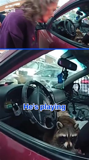 The MatrixMinds on Reels