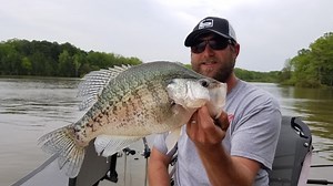 25K views · 208 reactions | A place where world class crappie are...