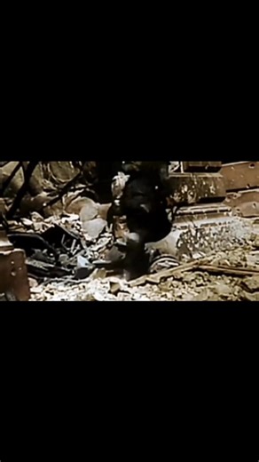WW2 | Xavier Estrada