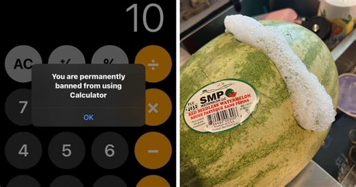 50 Funny Pics That People Just Had To Take As They Were Utterly Confused