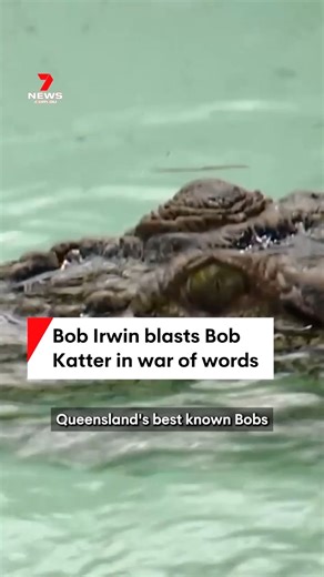 Bob Irwin has bitten back at Bob Katter over a controversial croc cull plan. Irwin says the Katter’s push to make Queensland waterways safe to swim in is impractical. #Crocodiles #CrocClash #Politics #Cull #Irwin #Katter #BobKatter #BobIrwin #Safety #Swimming #Queensland #7NEWS | 7NEWS Townsville