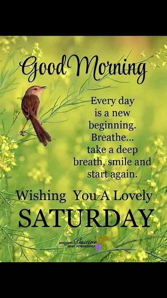 Embrace the Potential of Each Day: Happy Saturday Inspirational Quotes