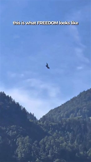 The Kaizen Lab on Instagram: "Rafale brings a very methodical, systems-driven design to modern air combat. Twin-engine layout, relaxed-stability aerodynamics, and digital flight controls give it tight handling across low and high-G regimes. A modular open-architecture avionics suite ties together its RBE2 AESA radar, OSF IRST, SPECTRA EW suite, and mission computers, letting the jet fuse radar, infrared, and electronic signatures into a single tactical picture. It carries everything from MICA an