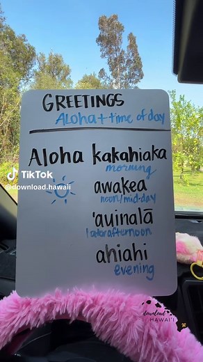 Hawaiian Greetings for All Times of Day