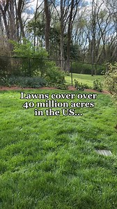 FREE Garden Workshop Happening Now! ▶️🌱 Whether you're a seasoned gardener or a total beginner, this FREE workshop will give you the tools and know-how to create the garden you’ve always wanted! You'll learn: ✅ Possibilities for your climate ✅ What grows best where you live ✅ How to maximize your space ✅ What to plant, where, and when Sign Up 👇 www.gardenary.com/masterclass | Gardenary