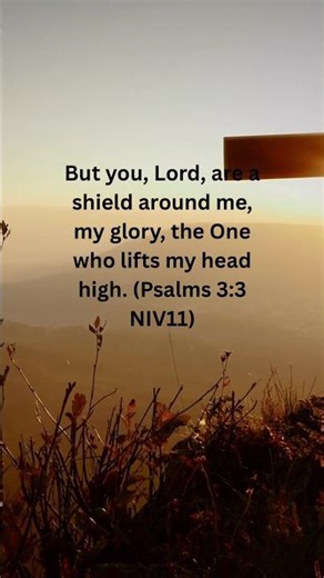 But You, Lord, are a shield around me… 🛡️✨ My glory, and the One who lifts my head. (Psalm 3:3)
