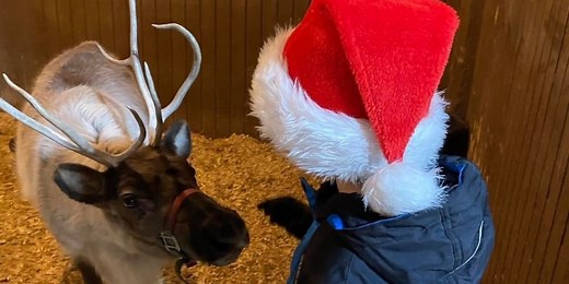 Christmas Town returns to Summerfield Farm and Zoo