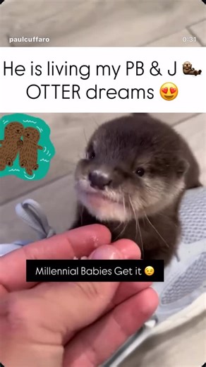 Ashlee Williams on Instagram: "VIDEO CREDIT @paulcuffaro - 💖 LOVE THIS #PBJOtter1998 #90sCartoons #millennials"