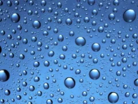 HUMID | ASL - American Sign Language