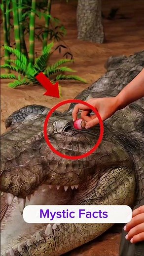 American Army Ki Dark Strategy 😱🪖 #respect #shorts #ytshorts #shortsvideo #shortvideo