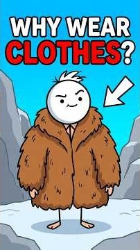 Why Do Humans Wear Clothes? 🤔 | LET LEO EXPLAIN