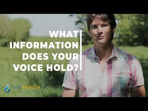 Energy Control System Assessment: NES Health Voice Scan
