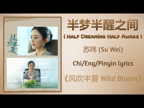 半梦半醒之间 (Half Dreaming Half Awake) - 苏玮 (Su Wei)《风吹半夏 Wild Bloom》Chi/Eng/Pinyin lyrics