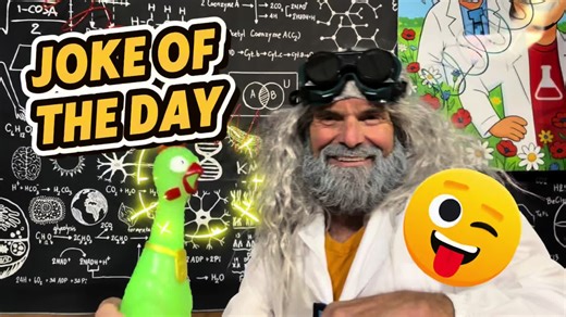 Scruffy is at it again! Have a little extra laugh for the day! 🐘😁🐭❤️ #missbethandscruffy #jokes #animal #trending #laugh